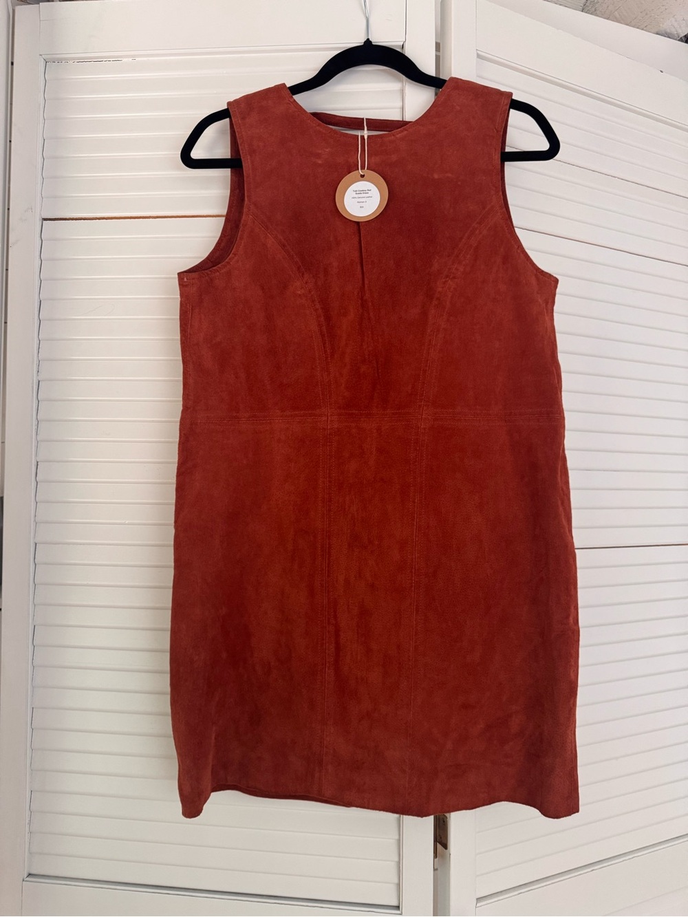 Tobi Sleeveless Suede Shift Dress in cowboy red or rust